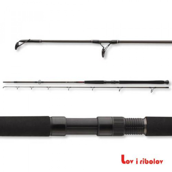 Stap Daiwa Exceler CF Boje 3.30m 200-600g 11818-336