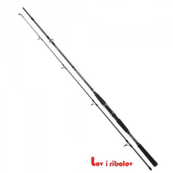 Stap Daiwa Seahunter X 2.40m 100-200g 11533-246