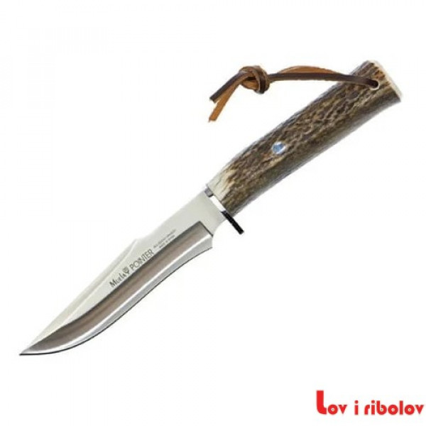 Noz Muela Pointer 13A