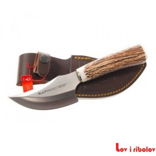 Noz Muela Sabueso 11A