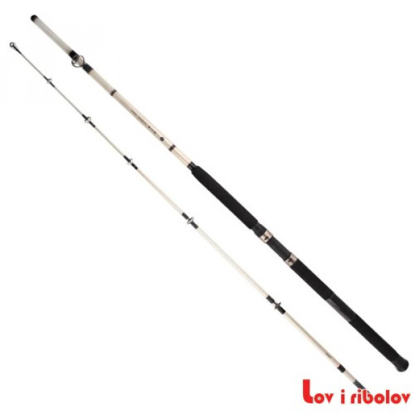 Stap Shimano Vengeance AX Boat 2.40m 300g 2pc