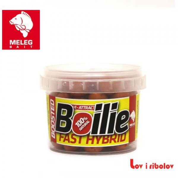 Boile Meleg Bosted Dipped boili 90g