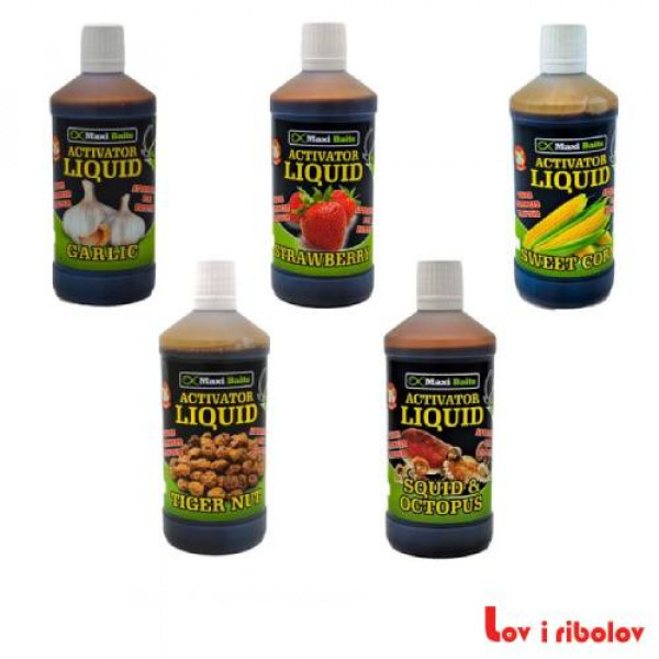 Aktivator Maxi Baits Liquid 250 ml