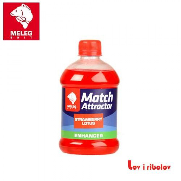 Atractor Meleg Match